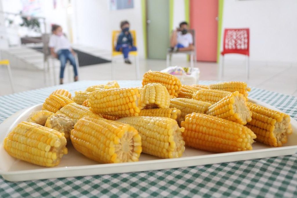 Milho, cor e sabor! – Educação Infantil – Campina Grande