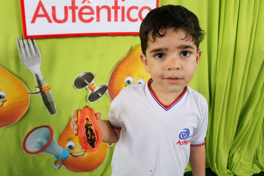 Alimentação Saudável – Mamão, a fruta da vez